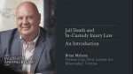 An Introduction to Jail Death and Injury Law - Former Cop Now Lawyer for Victims Brian Mahany